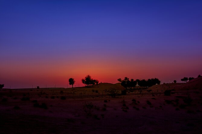 Doha Night Desert Safari Adventure - High Dunes and Sand Boarding: The Main Action Phase