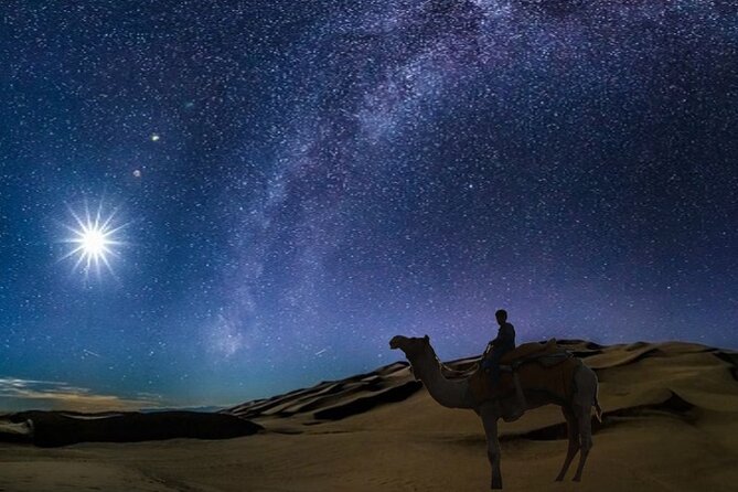 Doha Night Desert Safari Camel Ride Dune Bashing with Transfer - Door-to-door transfers, 4x4 comfort, and the small-group setup