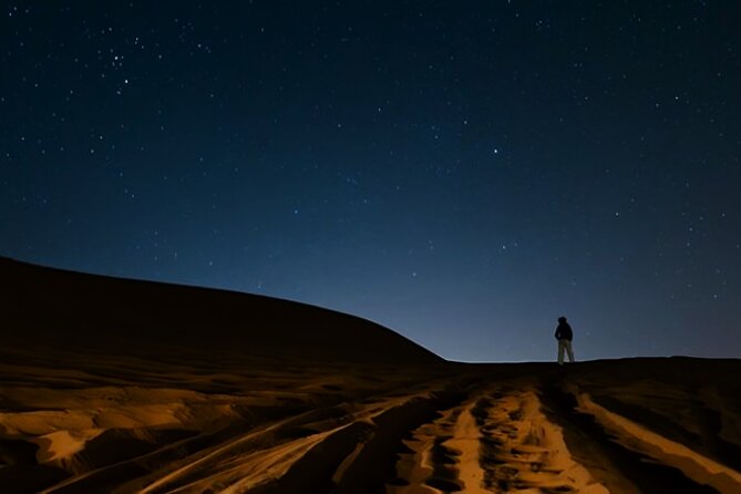 Doha Night Desert Safari Camel Ride Dune Bashing with Transfer - Should you book this Doha night desert safari with transfer?