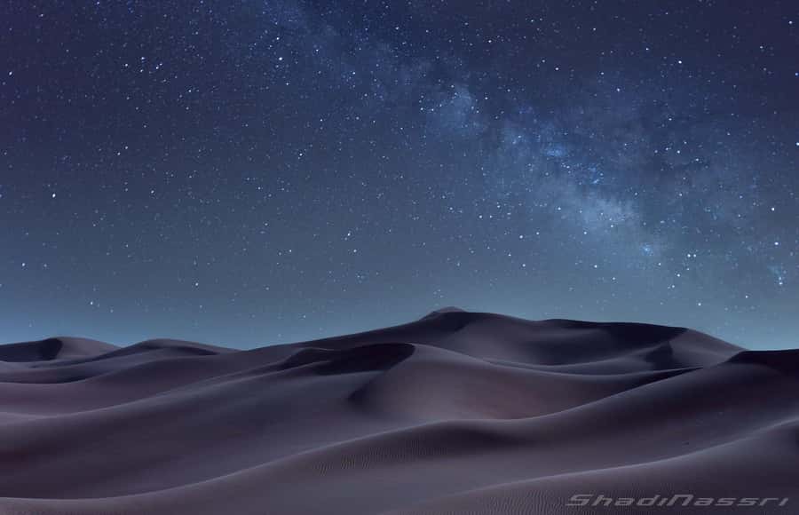 Doha Night Desert Safari Stargazing And Camel Ride - Who Should Book This Tour (And Who Should Skip It)