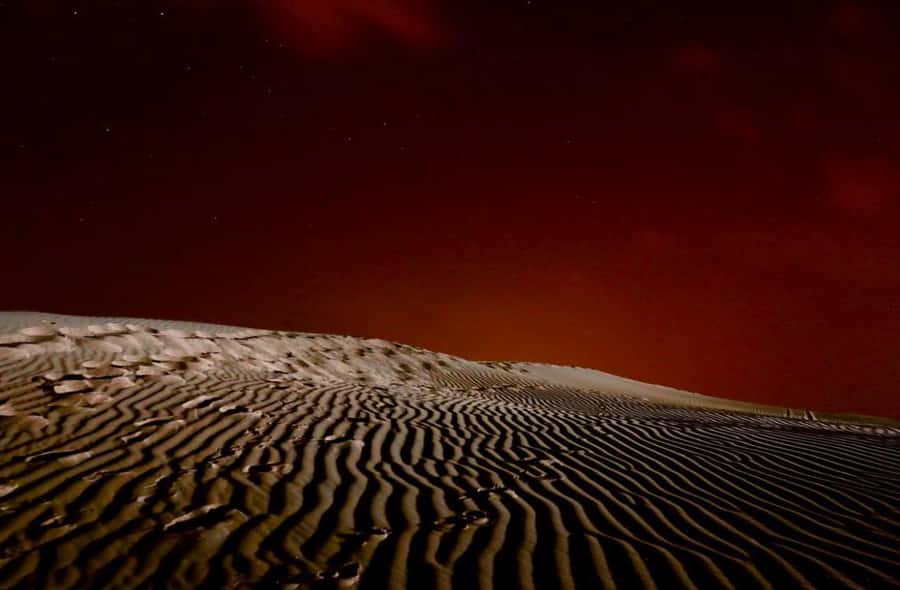 Doha Night Desert Safari Stargazing And Camel Ride - Why This Doha Night Desert Safari Feels Different Than a Basic Tour