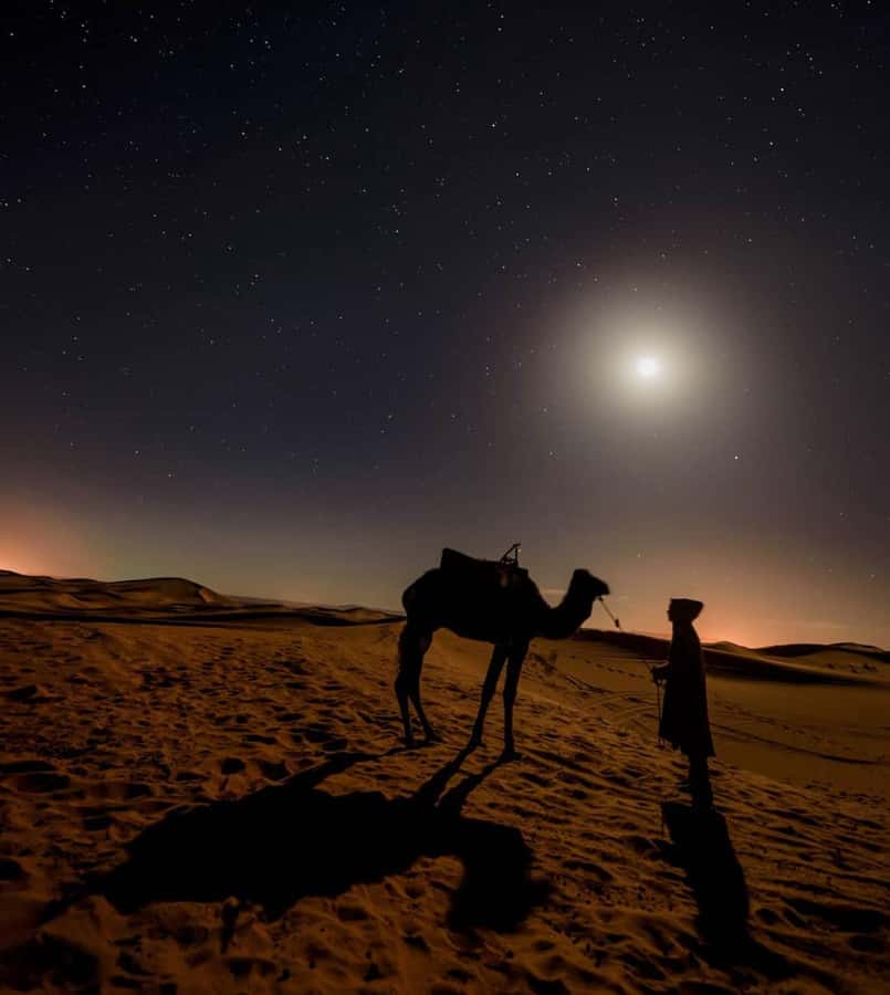 Doha Night Desert Safari Stargazing And Camel Ride - Inland Sea Beach Stop: Coffee, Photos, Camel Time, and Swimming