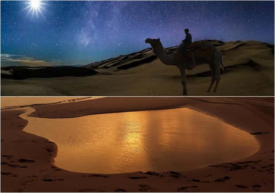 Doha Night Desert Safari Stargazing And Camel Ride - Ash Shaqra Dunes: Sandboarding, Dune Bashing, and Off-Road Walking
