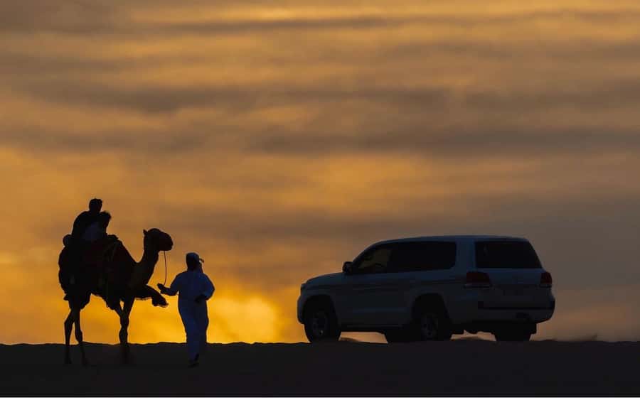 Doha Night Desert Safari Stargazing And Camel Ride - Stargazing in the Desert: What to Do to Actually See More