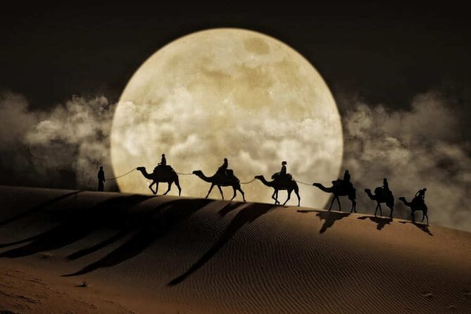 Doha Night Desert Safari Stargazing Dune Drive Camel Ride - From Your Doha Hotel to the Desert Edge
