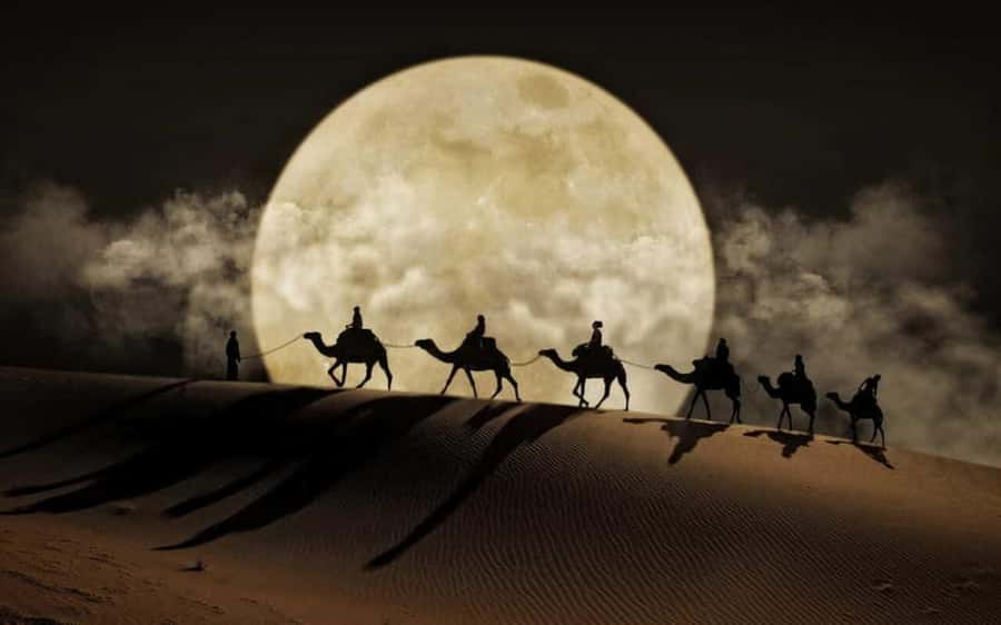 Doha: Night Desert Safari, Stargazing, Dune Driving &Inland - How the timing works, from Doha pickup to return