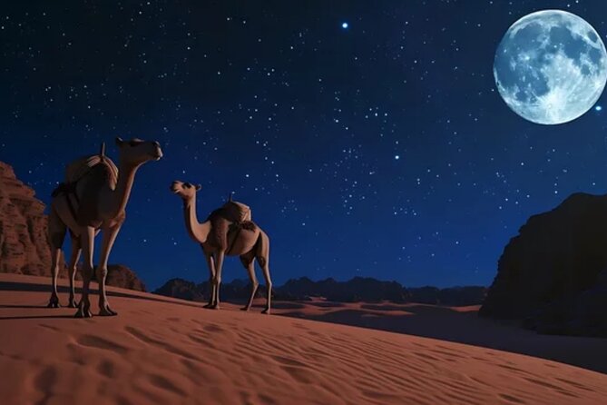 Doha Night Desert Safari, Stargazing, Photography، Relaxation - Price and Value Check: Is $77.50 Reasonable?