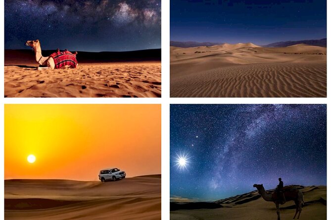 Doha : Night Desert Safari | Transit Safari | Camel ride | Dune Bashing - Doha Desert Safari, Transit Safari, and the Night Advantage