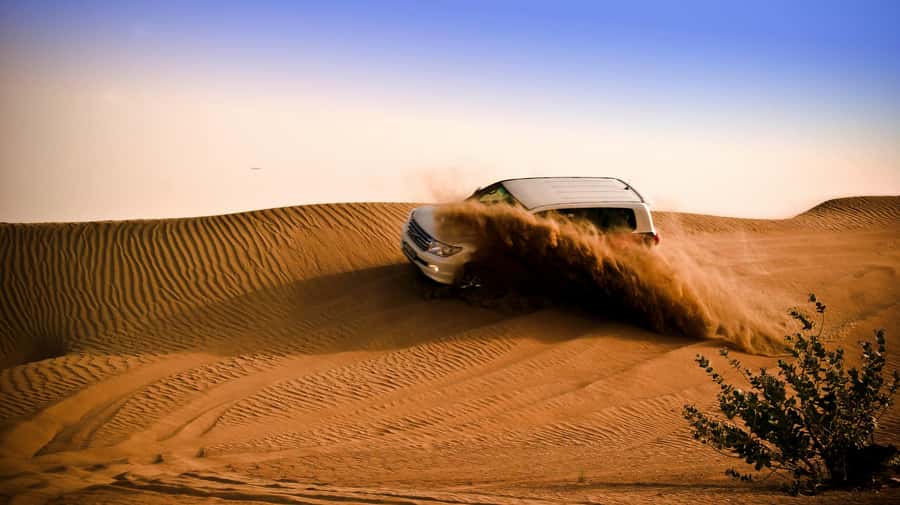 Doha: Night Desert Safari with Camel Ride and Sandboarding - Quick hits to know before you go