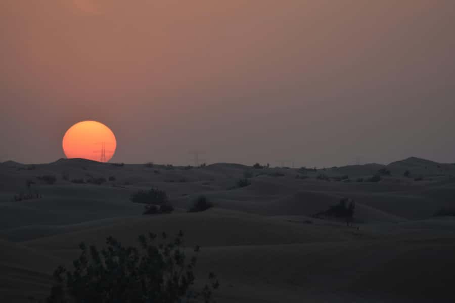 Doha: Night Desert Safari with Camel Ride and Sandboarding - Why the Inland Sea night safari feels like two trips in one