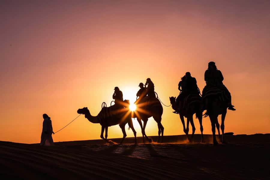 Doha: Night Desert Safari with Camel Ride and Sandboarding - Doha pickup, drive time, and what the vehicle means for comfort