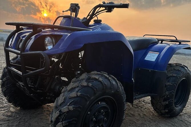 Doha-Night Desert Safari with Sand Board and Camel Ride - 4x4 Dune Bashing, Sandboarding, and Camel Riding: The Main Event