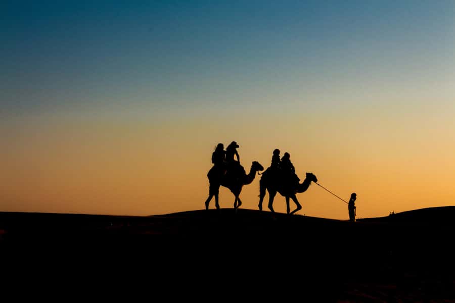 Doha: Night Desert Safari With Stargazing and Inland Sea - Why This Night Safari Feels Worth It in Qatar