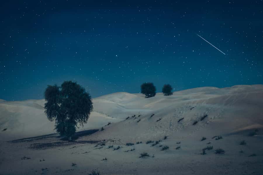 Doha: Night Desert Safari With Stargazing and Inland Sea - The Guide Experience: When Facts Make the Ride Better