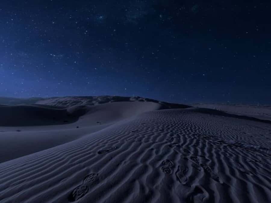 Doha: Night Desert Safari with Stargazing & Camel Ride - Key highlights that make this night safari work
