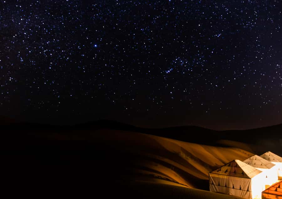 Doha: Night Desert Safari with Stargazing & Camel Ride - Camel camp break: tea, coffee, and Bedouin-style rhythm