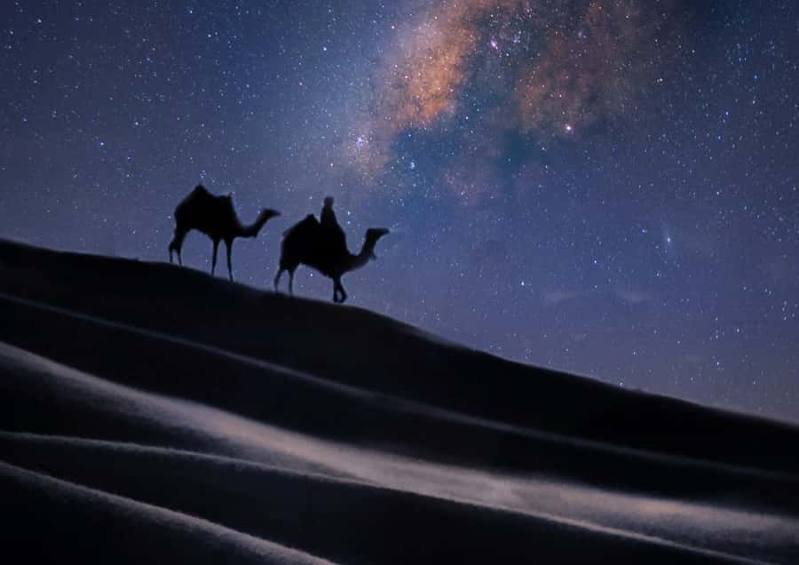 Doha: Night Desert Safari with Stargazing & Camel Ride - Price and value: is $40 a good deal for a 4-hour night safari?
