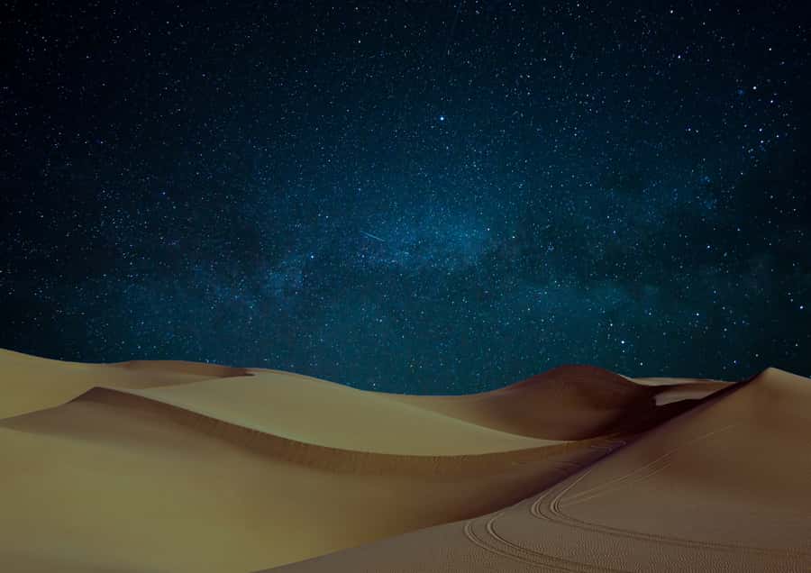Doha: Night Desert Safari with Stargazing & Camel Ride - What to bring, what to skip, and who this fits best