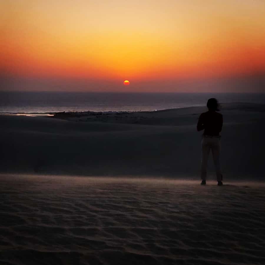 Doha: Night DesertSafari DuneBashing Sandboarding CamelRide - Key highlights you will feel right away