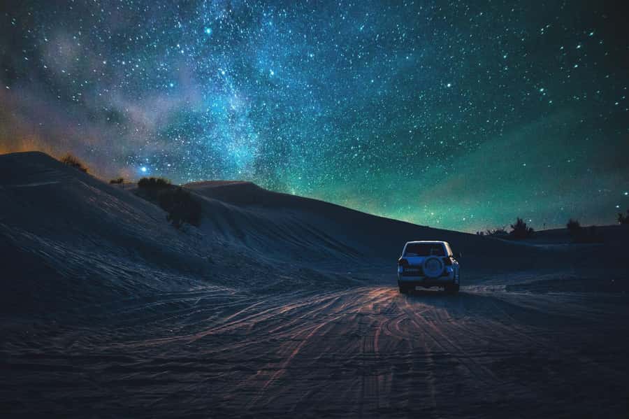Doha: Night Safari with Dune Bashing and Camel Ride - Key highlights to look for