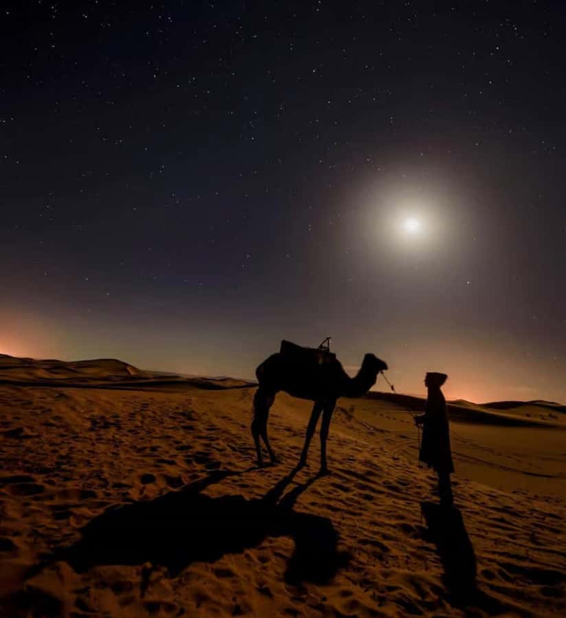 Doha: Night Safari with Dune Bashing and Camel Ride - Dune bashing in a 4x4 (and sandboarding at the sand spot)