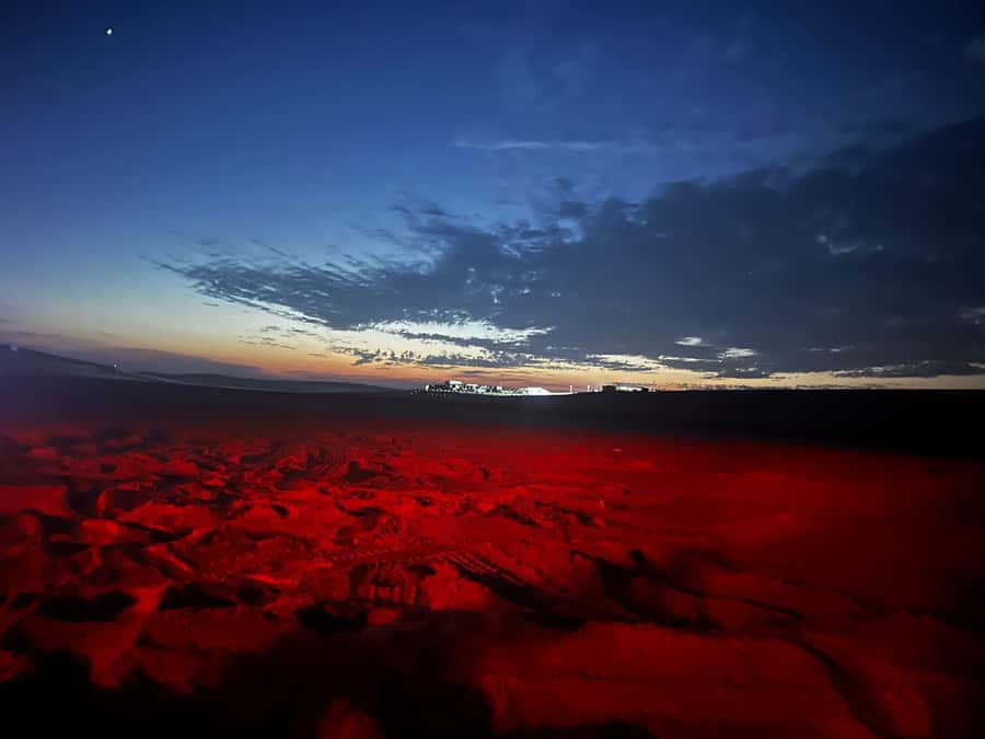 Doha: Night Safari with Dune Bashing and Camel Ride - Who this night safari suits best (and who should skip it)