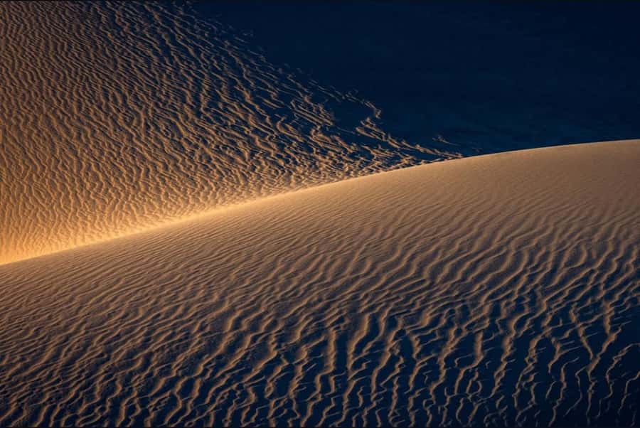 Doha: Nighttime Desert Safari with Dune Bashing & Camel Ride - The eco-walk and astronomy lesson under real night skies