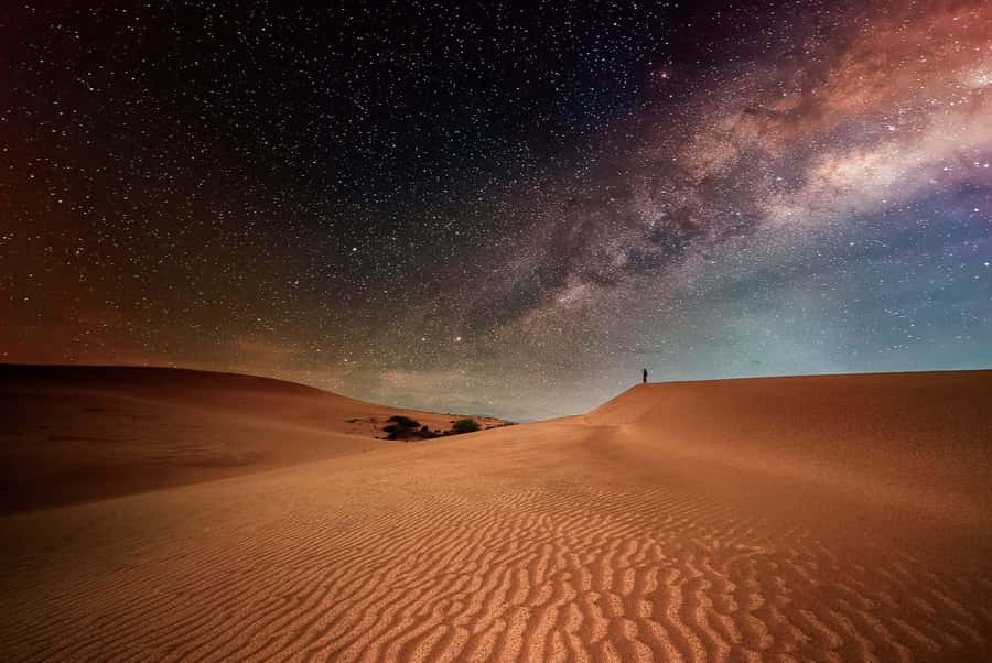 Doha: Nighttime Desert Safari with Dune Bashing & Camel Ride - Sealine Beach Resort, then off-road fun starts
