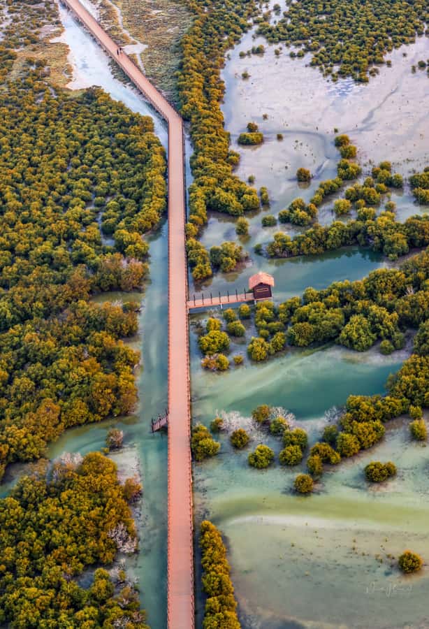 Doha North Qatar Tour Zubara Fort, Mangroves, Jumail Village - Key things you will notice on this North Qatar day