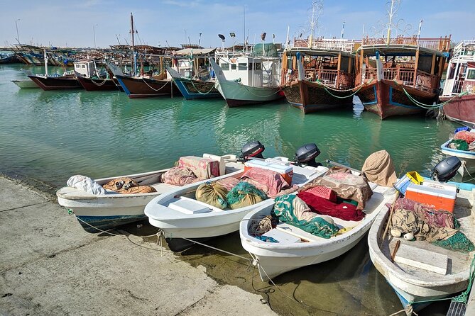 Doha North Tour Zubara Fort Jumail Village Purple Island - Al Khor Fish Harbour: a working market you can actually understand