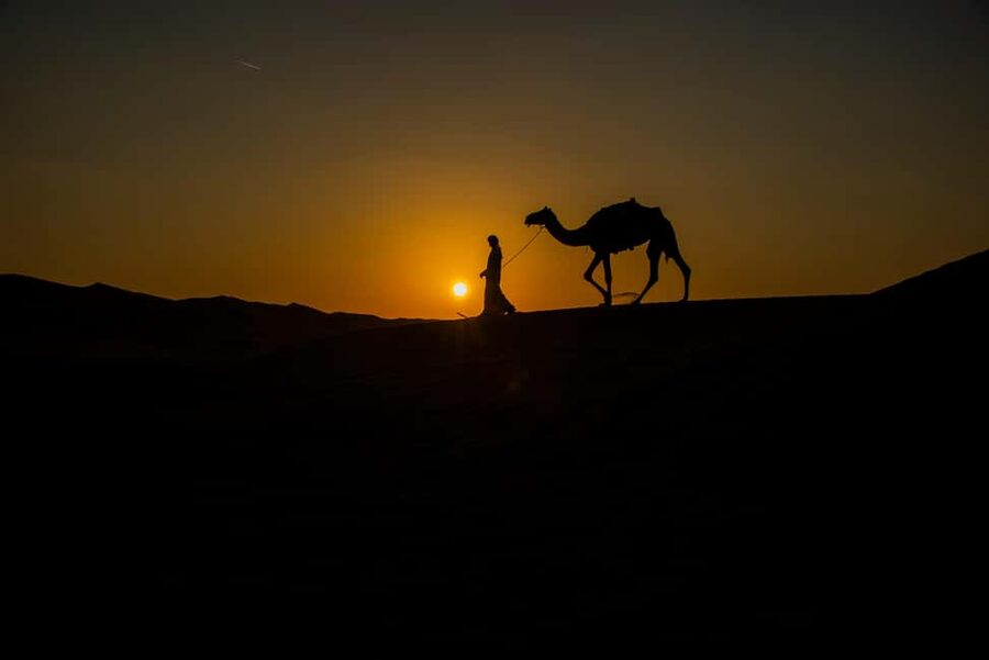 Doha: Overnight Desert Safari with Dinner and Breakfast - Sandboarding: the included activity that surprises people