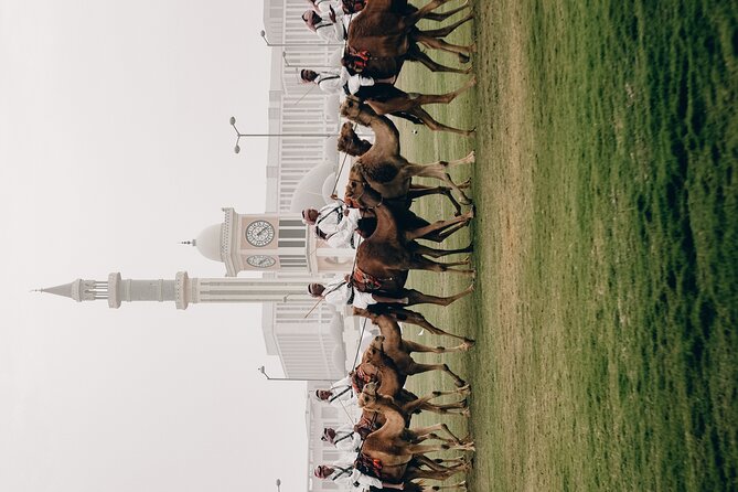 Doha Private City Tour - What the private transportation and refreshments actually do for your day