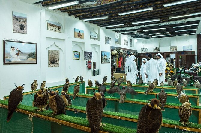 Doha: Private City tour from Cruise Port terminal - Katara Cultural Village: where Qatar’s culture and international arts meet