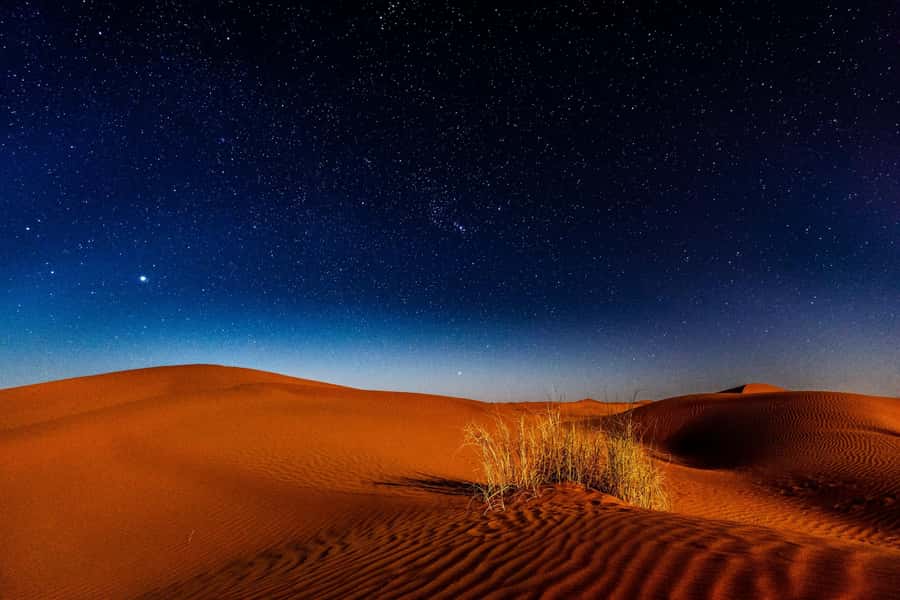 Doha: Private Desert Safari at Night with Stargazing - Key highlights worth planning around