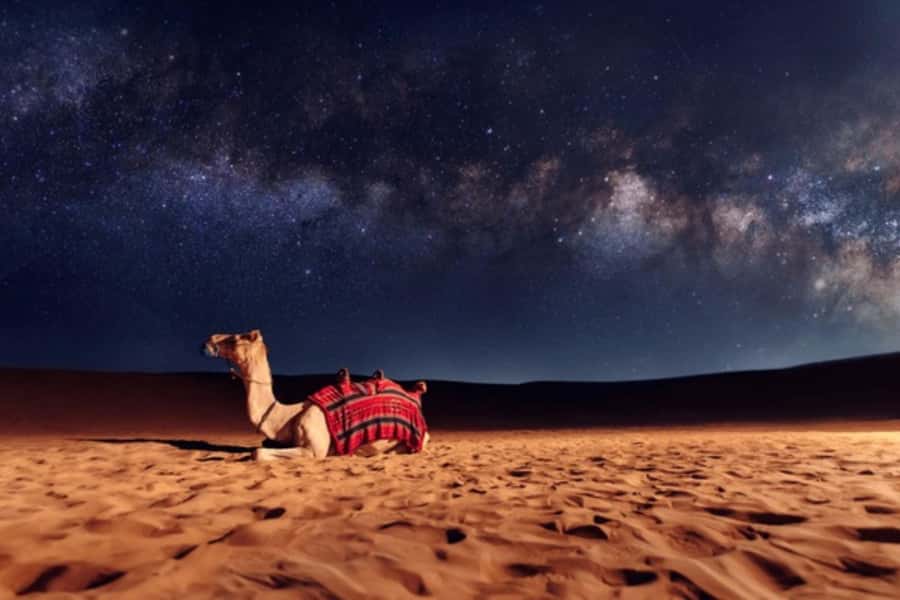Doha: Private Desert Safari at Night with Stargazing - Stargazing that is actually built into the plan