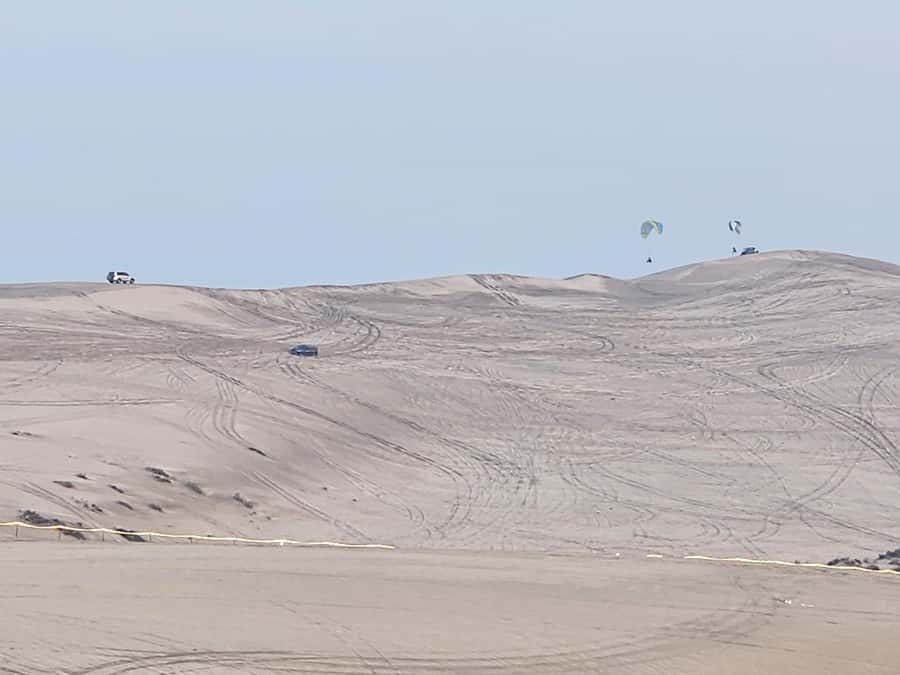 Doha:Private Desert Safari, Falcon, Sandboarding,inland sea - Should you book this private desert safari with Inland Sea and sandboarding?