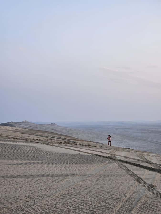 Doha:Private Desert Safari, Falcon, Sandboarding,inland sea - Who this is best for, and who should skip it