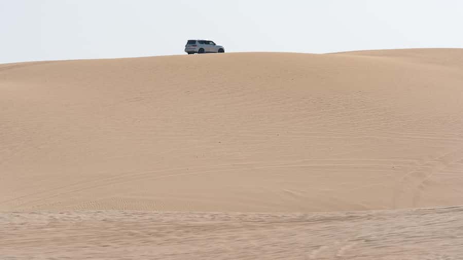 Doha:Private Desert Safari, Falcon, Sandboarding,inland sea - The Sealine Beach Resort stop, where the views feel different