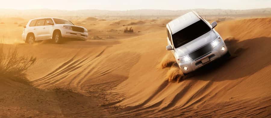 Doha : Private Desert Safari With Camel Ride & Sand Boarding - Sealine Beach Resort Stop: Camel Ride, Coffee, and Photos