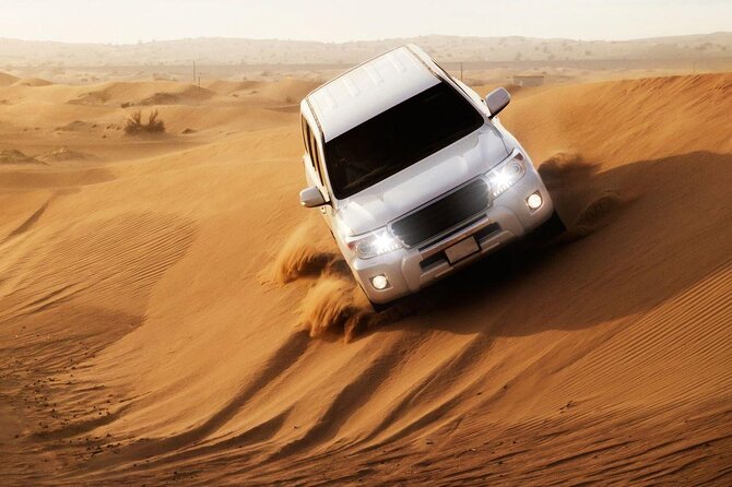 Doha: Private Half Day Desert Safari Tour in Qatar - Price, Value, and Who This Half-Day Safari Fits Best