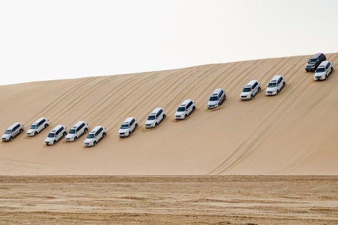 Doha: Private Half Day Desert Safari Tour in Qatar - Private Guide Energy: Why People Mention Amir and Jasim