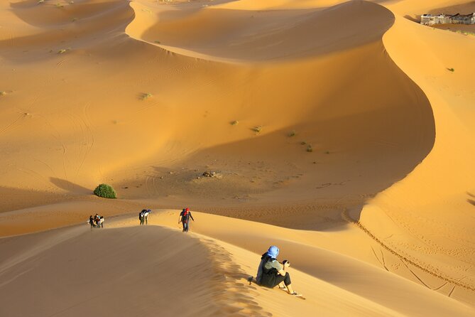 Doha Private Half-Day Guided Desert Safari Tour - Why This Doha Half-Day Safari Works as a Best Of Qatar Plan
