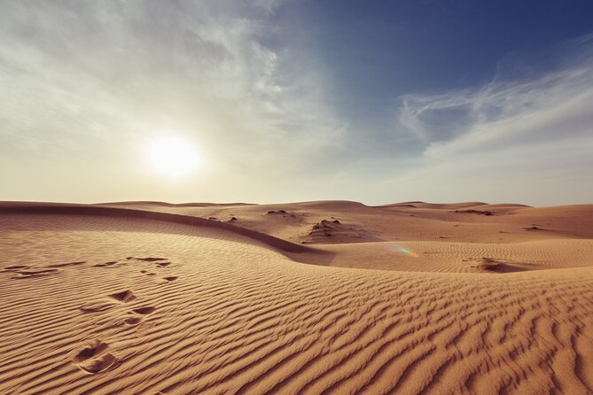 Doha Private Half-Day Guided Desert Safari Tour - Sealine Beach Stop: Camels, Falcon Photos, Tea, and the Pre-Dune Setup