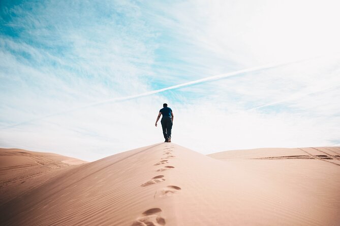 Doha Private Half-Day Guided Desert Safari Tour - What to Bring, and How to Choose This Tour for Your Group