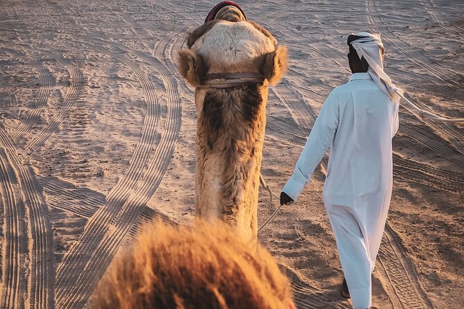 Doha-Private Half Day Safari with Horse Ride/Camel Ride/sandboard - Dune bashing: the thrill center of the day