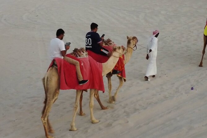 Doha-Private Half Day Safari with Horse Ride/Camel Ride/sandboard - How the 4 to 5 hours feel in real life