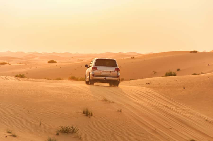 Doha: Private NIGHT desert safari with free camel ride - Price and value, is $105 per person worth it