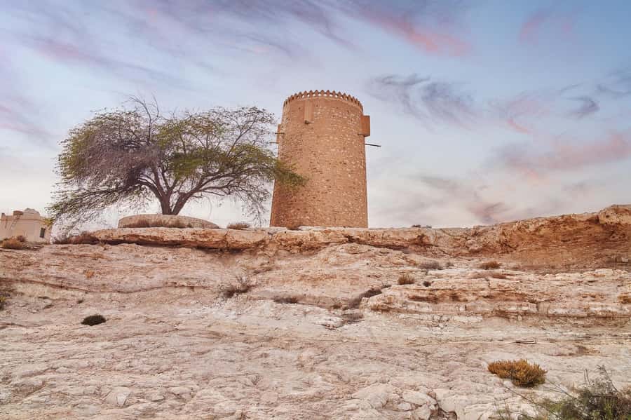 Doha : Private North of Qatar Tour, Zubara Fort & Mangroves - Why North Qatar Feels Like a Different World From Doha