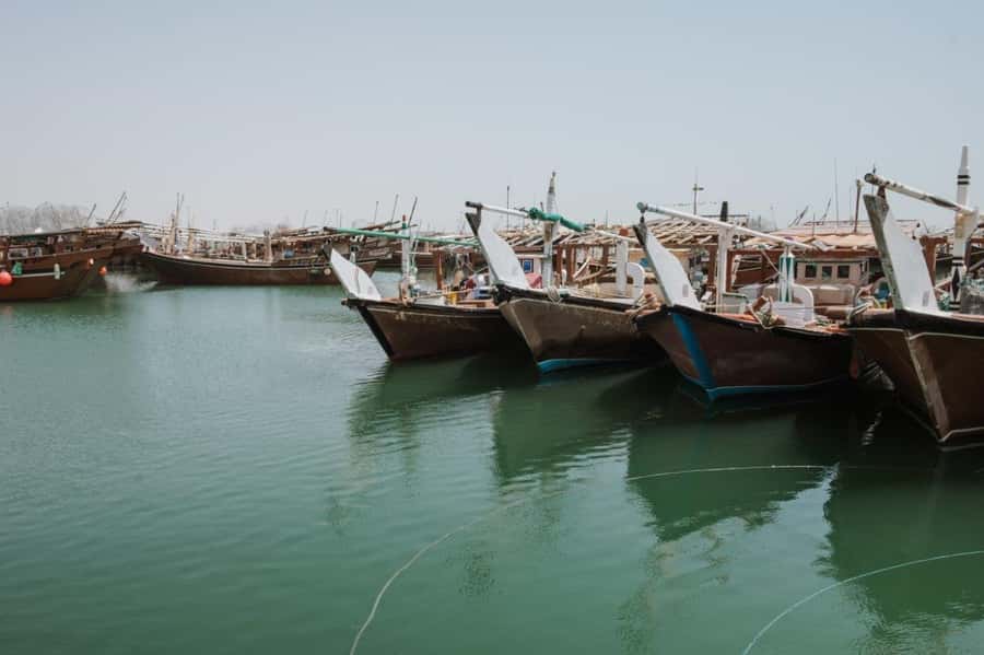 Doha : Private North of Qatar Tour, Zubara Fort & Mangroves - Al Jumail Abandoned Village at Sunset: Quiet Atmosphere