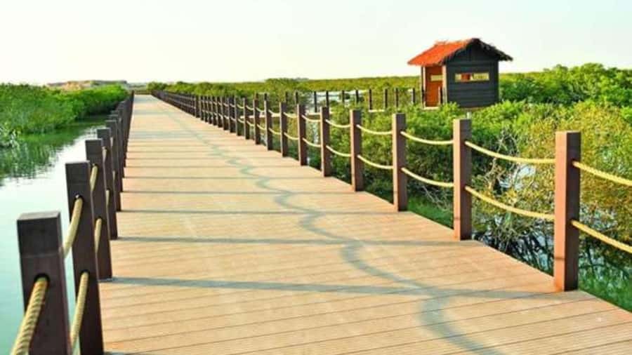 Doha : Private North of Qatar Tour, Zubara Fort & Mangroves - The Value Question: Is $64 Per Person a Good Deal?